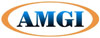 AMGI Management Group Inc., Management Consultants